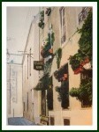 ruelle de DIJON